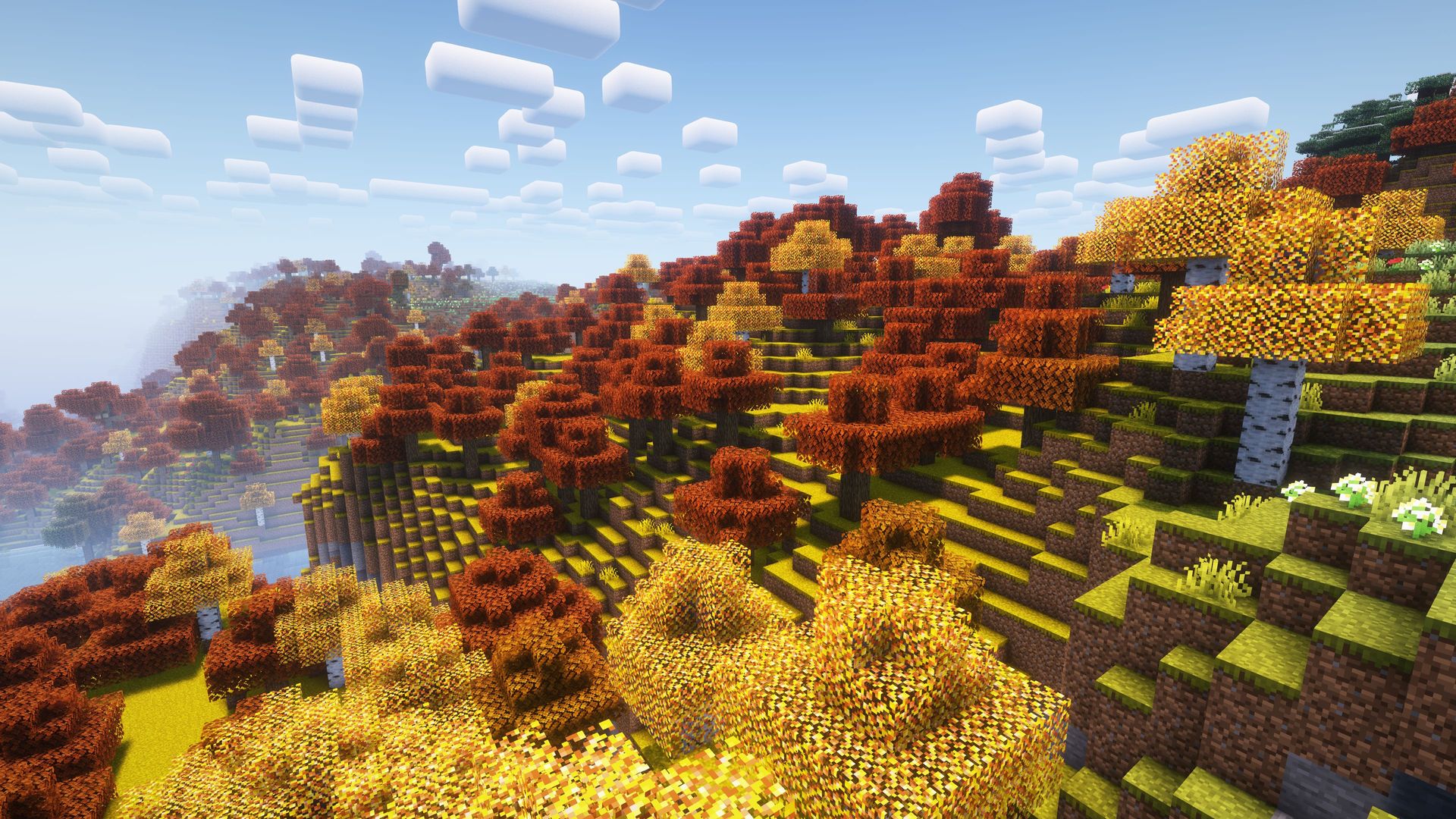 Shaders noon