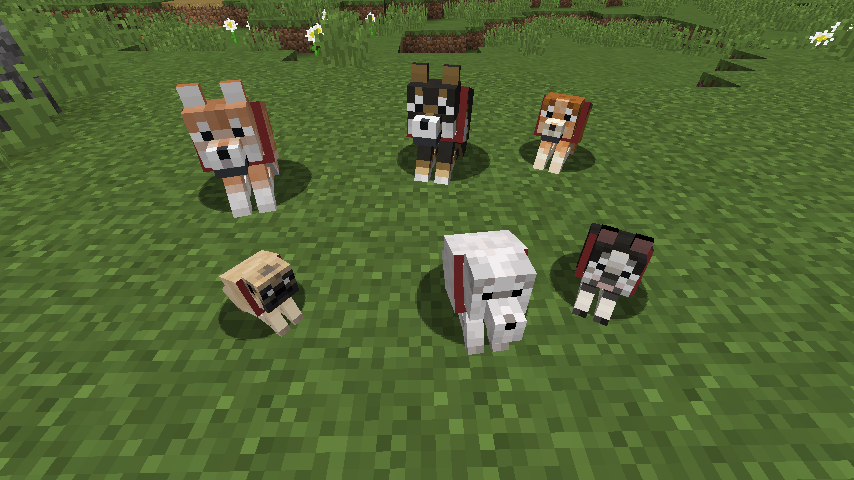 Not Enough Pets - Minecraft Mod